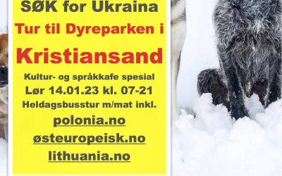 Nyttårstur som vår julegave til ukrainske flykningefamilier med barn: Gratis busstur Dyreparken i Kristiansand lørdag 14 januar